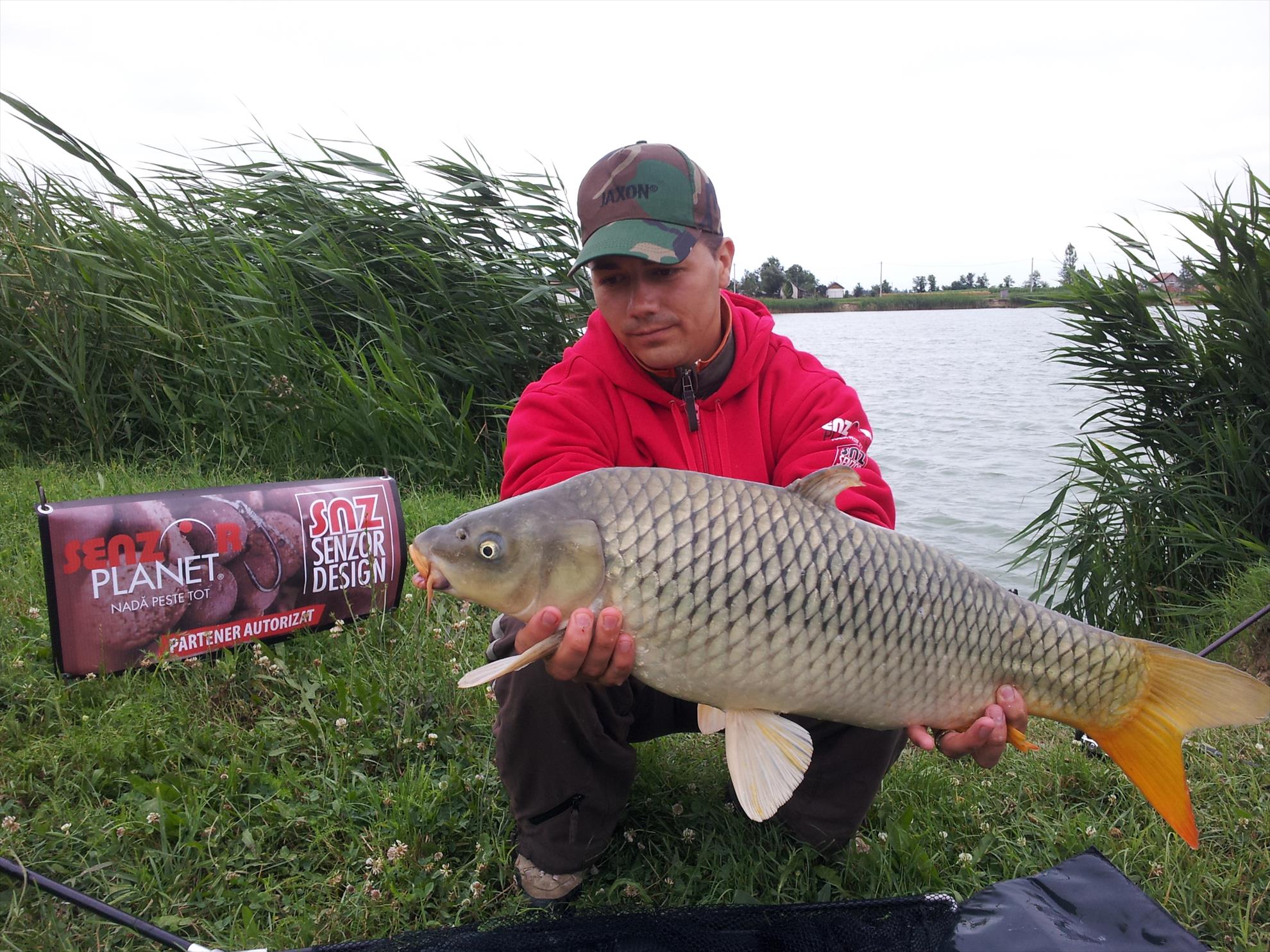 Silver  Ungaria 25 - 26 iul. - 20130626111348.jpg